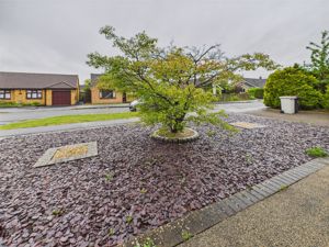 Front garden- click for photo gallery